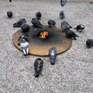 Meet your Posher, Richard